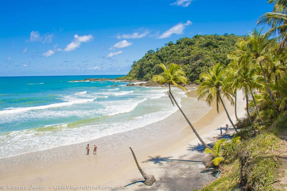 Imagem da vegetação costeira da Praia da Engenhoca.